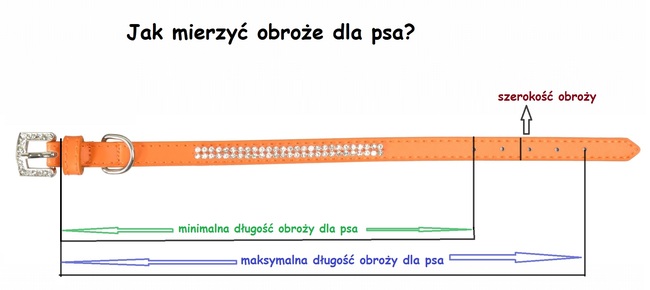 jak mierzyć obroże dla psa