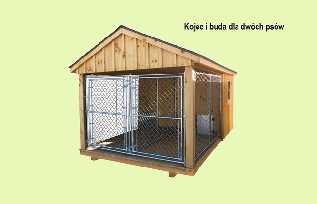 kojec i buda dla dwóch psów ze stali i drewna