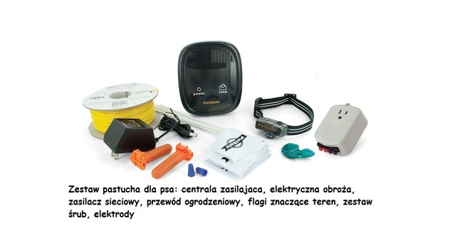 ZESTAW PASTUCH DLA PSA 
