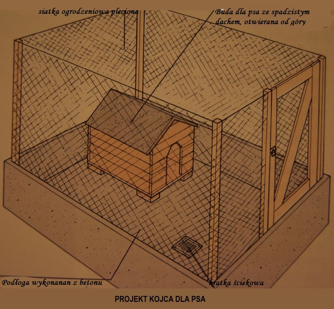 Projekt kojca dla psa