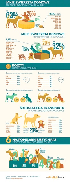 zwierzak w podróży jakie zwierzeta domowe transportują Polacy za granicę