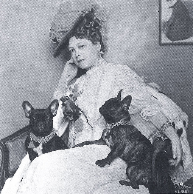 Anna Maria Sacher z buldogami francuskimi, zdjęcie z 1908 roku