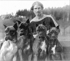 Historia Bokserów (rasy psa)