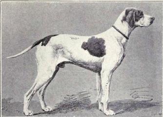 Pointer Saint-Germain, 1915 Pointer Saint-Germain, 1915
