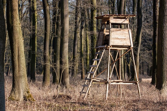 Ambona myśliwska Polski Związek Łowiecki Ambona łowiecka