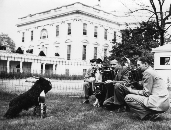 franklin delano roosevelt i pies fala