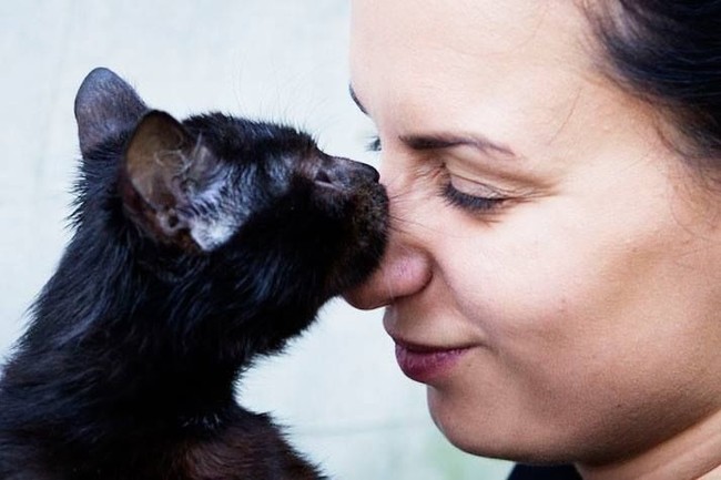 kot z Fundacja Zwierzęce Marzenia