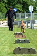 malinois Andi