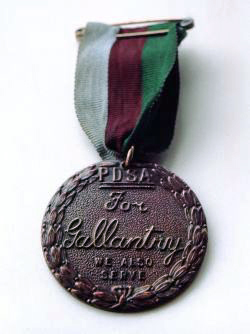 Medal Dickin, brązowe odznaczenie dla zwierząt zasłużonych w czasie wojny
