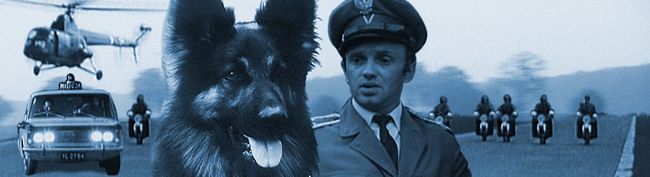 Film Przygody psa Cywila