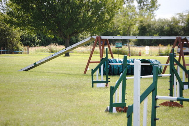 Tor do agility