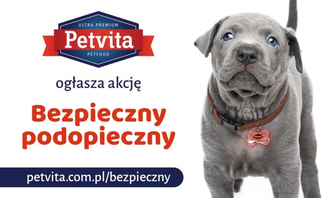 akcja bezpieczny podopieczny pies , kot