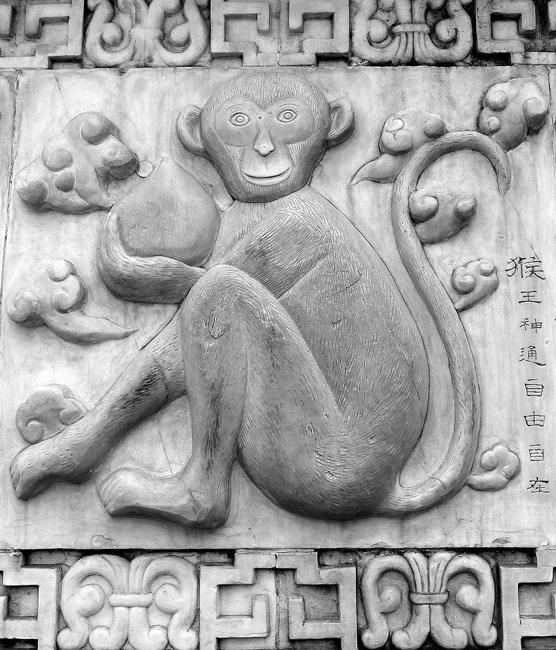 Chiński znak zodiaku PIES chiński znak zodiaku MAŁPA