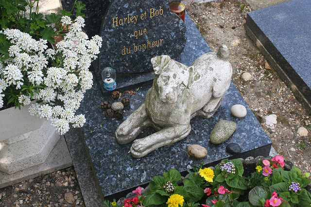 Pomnik psa na cmentarzu Cimetiere des Chiens 