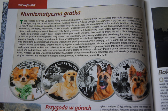 Rozkładówka magazynu z fotografiami psów