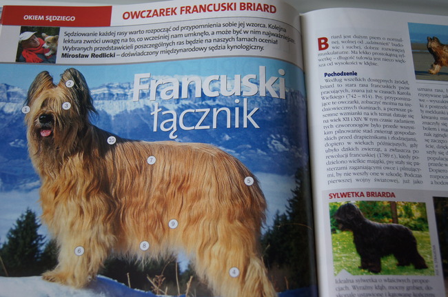 Okładka czasopisma o psach