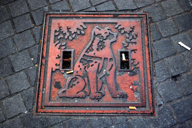 Płyta chodnikowa ku pamieci psa Hachiko