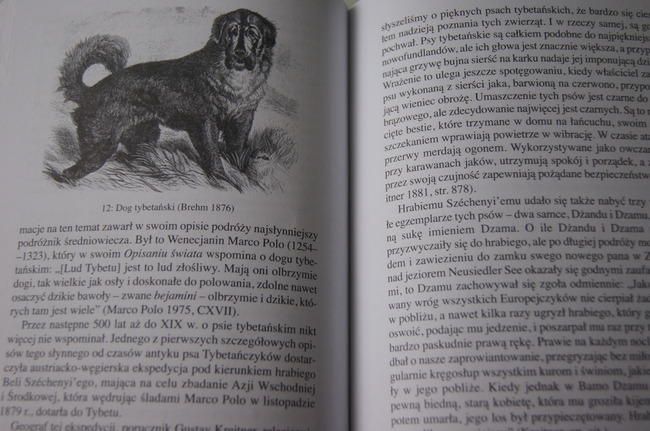 Książka Człowiek i pies historia przyjaźni Erhard Oeser