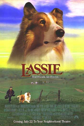 Lassie, sławny pies collie z filmu Lassie wróć