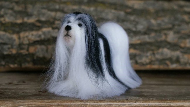 Filcowy pies lhasa apso