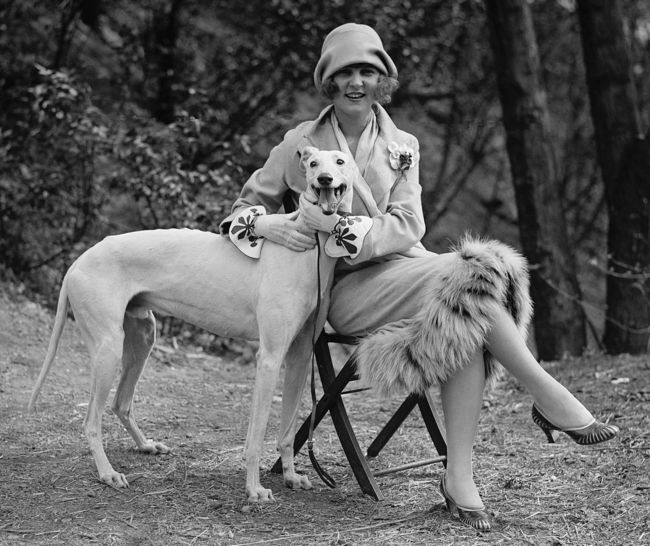 Miss Ameryki Margaret Gorman i chart angielski greyhound "Long Goodie", kwiecień 1925 rok