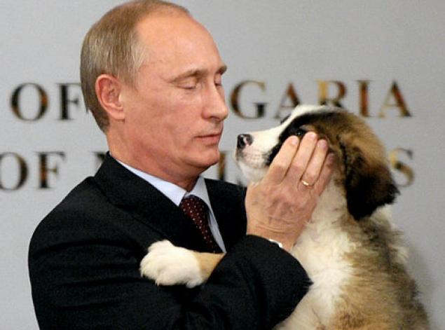 W. Putin i Karakachan Szczeniak Buffy rasy Karakachan i W.Putin