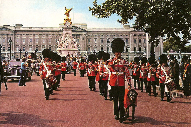 Parada regimentu Gwardii irlandzkiej i maskotki