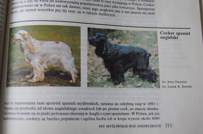 ksiązka Psy rasowe w Polsce E.Frankiewicza