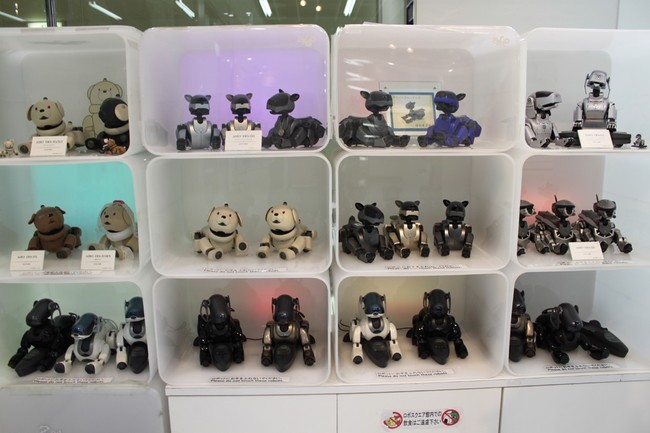 różne wersje psów robotów (robopsów) różne wersje psów robotów (robopsów)