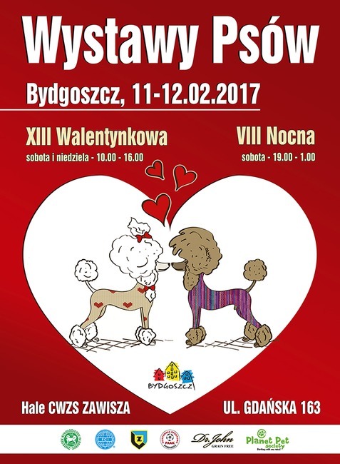 walentynkowa wystawa psów 2017 w Bydgoszczy
