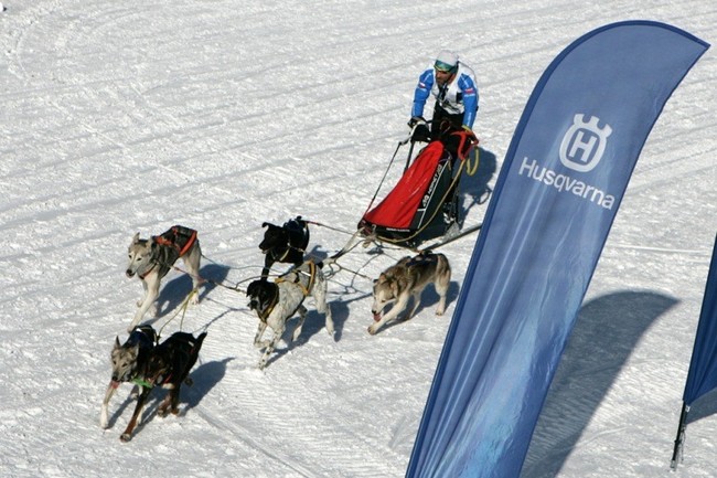 Zdjęcie z trasy wyścigu psich zaprzegów Husqvarna Tour 2015