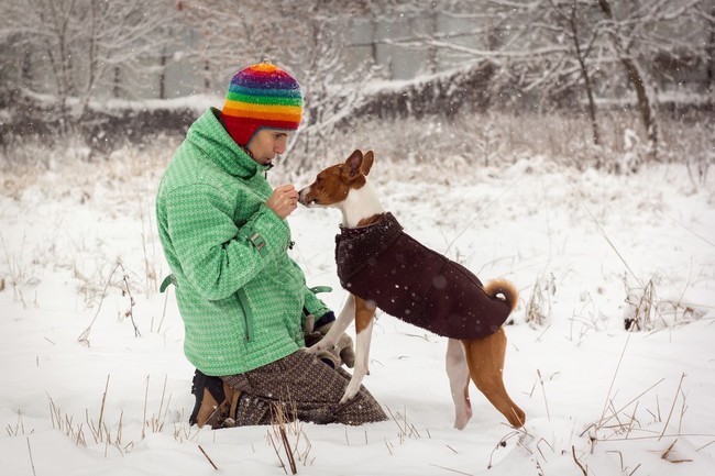 jak nauczyć psa komendy do mnie