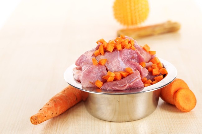 Dieta Barf dla psa podwórkowego