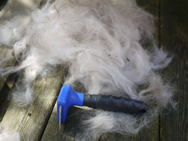 Furminator i sierść psa pielęgnacja psów szorstkowłosych furminator i sierść psa