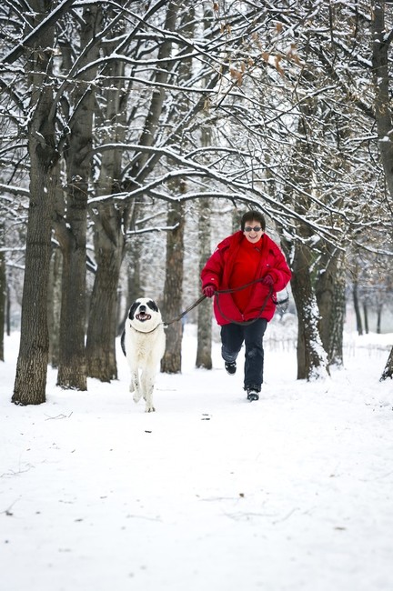 Wpływ psa na zdrowie: jogging z psem rasy alabai