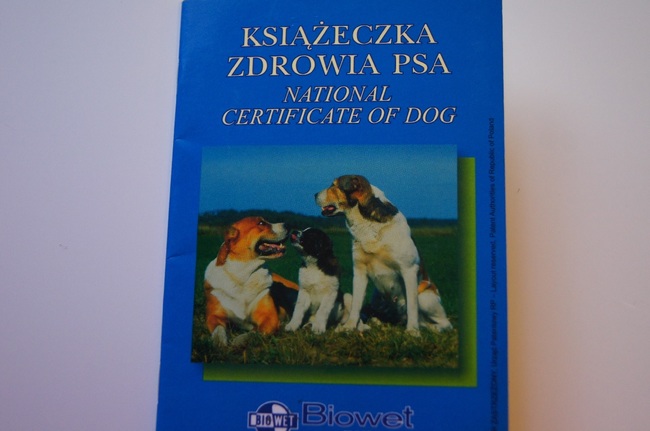 Dokumenty psa: książeczka zdrowia z wpisami szczepień