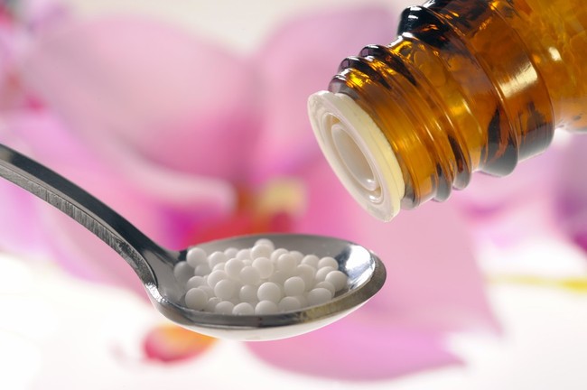Leki homeopatyczne dla psa