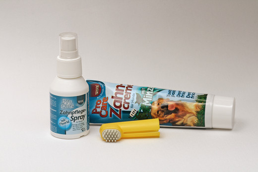 Spray,pasta do zębów i szczoteczka do mycia zębów u psa Artykuły do pielęgnacji zębów u psa