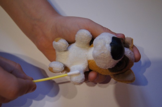 Program Bio sensor ćwiczenie stymulacja dotykowa między opuszkami palców Wczesna stymulacja neurologiczna szczeniąt stymulacja dotykowa między opuszkami palców