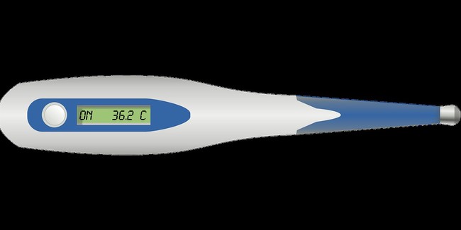 Termometr elektroniczny dla psa