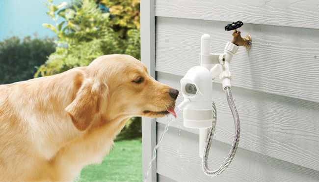 Automatyczne poidło dla psów WaterDog WaterDog poidło dla psów do ogródka