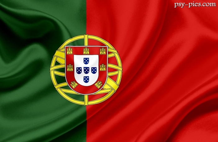 Rasy psów z Portugalii