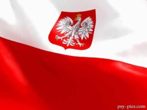 Polskie rasy psów