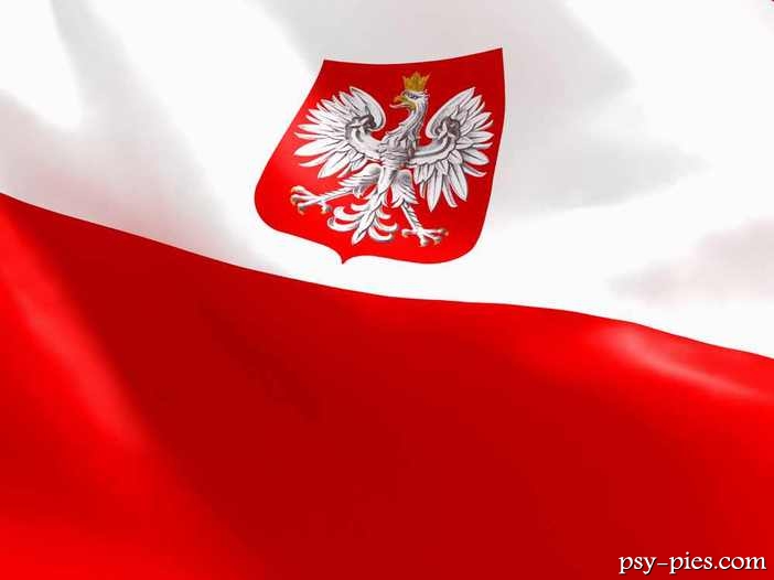 Polskie rasy psów