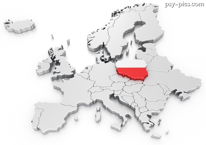 Wykaz ras psów agresywnych w Polsce