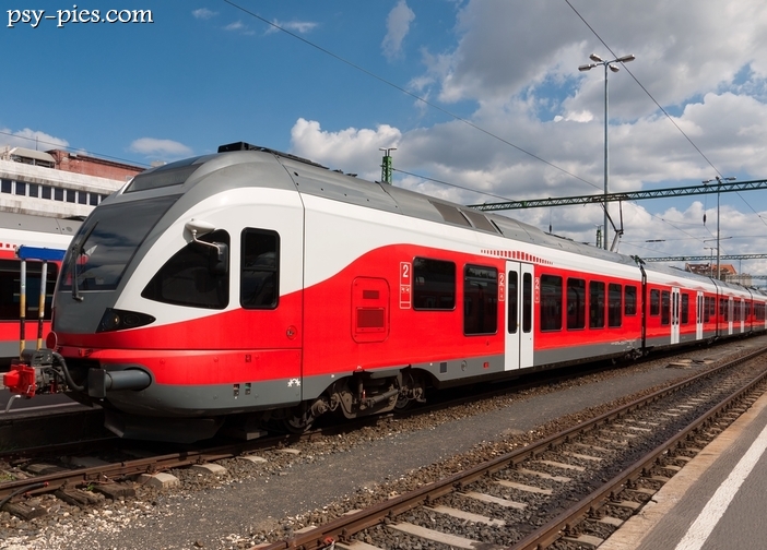 Podróż z psem pociągiem
