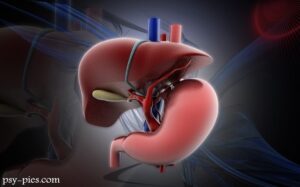 Choroba Rubartha u psów