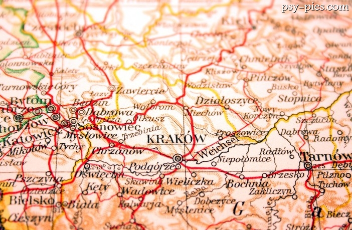 Związek Kynologiczny w Polsce (oddziały)
