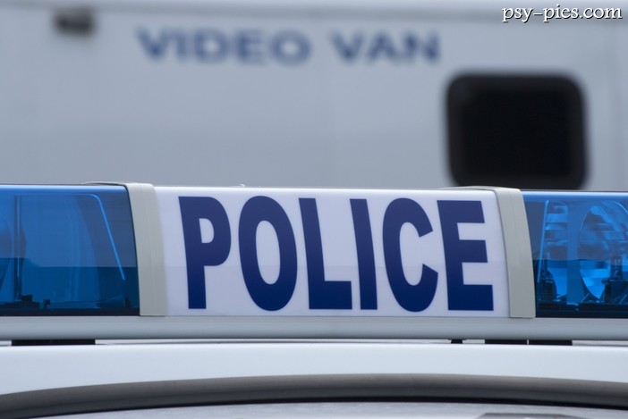 Szczecińska policja szuka psów do służby