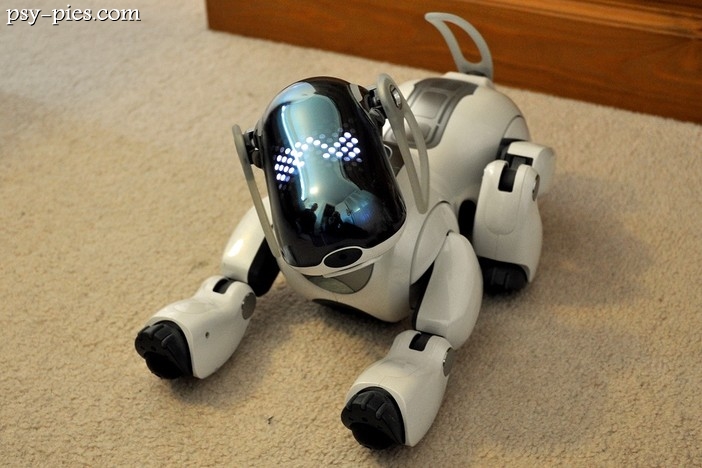 Czy robopsy zastąpią prawdziwe czworonogi?